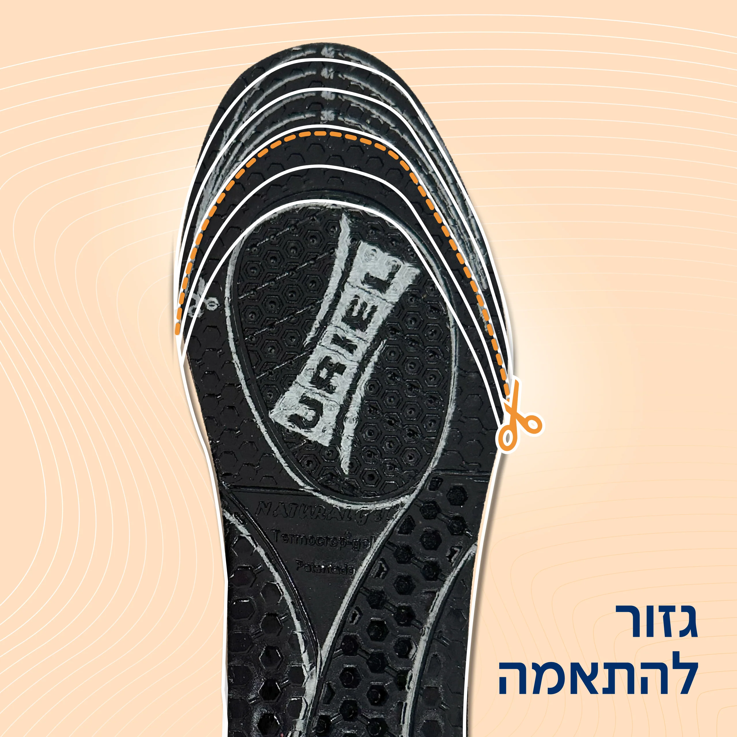 תמונת מוצר 5